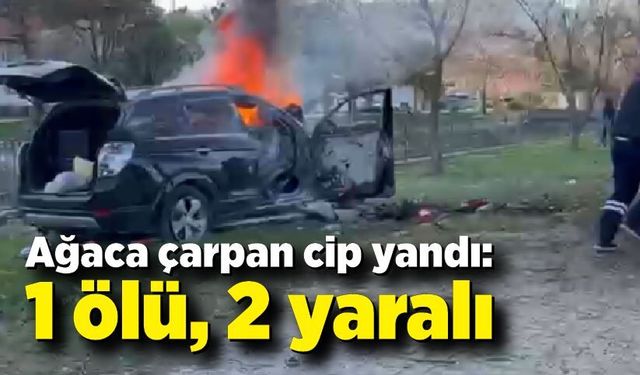 Ağaca çarpan cip yandı: 1 ölü, 2 yaralı