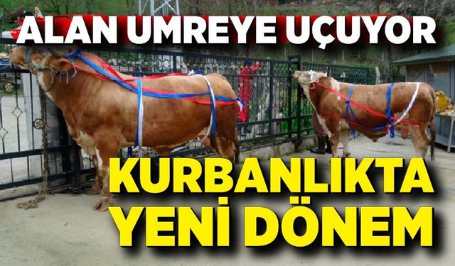 Kurbanlık Alan Umreye Gidiyor: Kampanya Şaşırttı