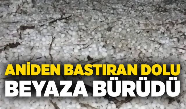 Aniden bastıran dolu beyaza bürüdü
