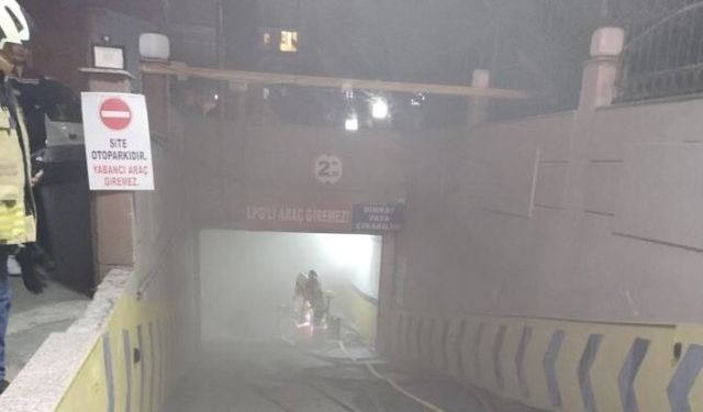 Park halindeki araçta yangın çıktı