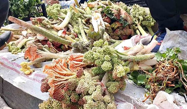 Elazığ'da bahar otları tezgahlarda yerini aldı