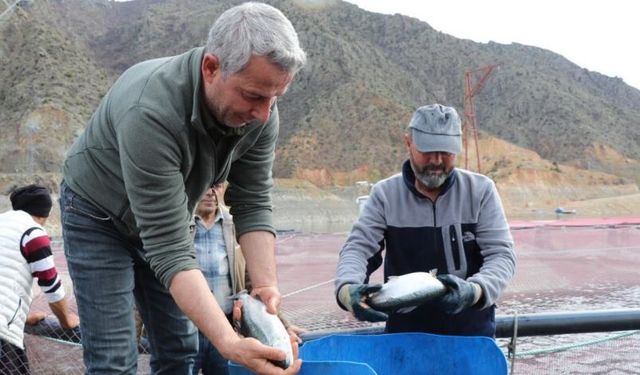 Denizi olmayan Erzurum'da yılda 300 tona yakın balık üretiyorlar