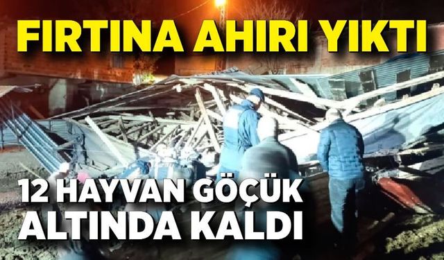 Fırtına ahırı yıktı: 4 büyükbaş hayvan telef oldu