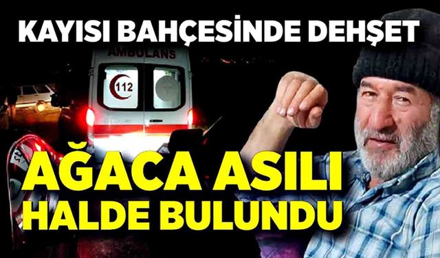 Kayıp olarak aranan adam, kayısı bahçesinde ölü bulundu