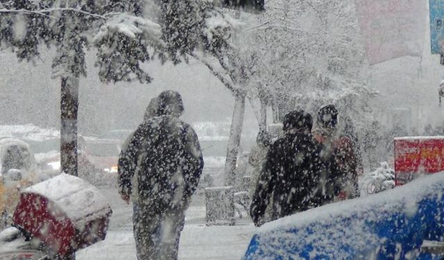 Kar biranda geldi her taraf bembeyaz oldu
