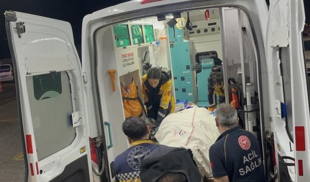 Kazada yaralanan Günyüzü Kaymakamı ve şoförü hastaneye getirildi