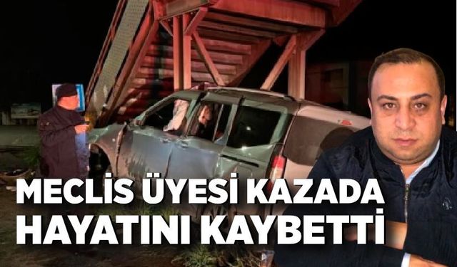 Meclis üyesi kazada hayatını kaybetti