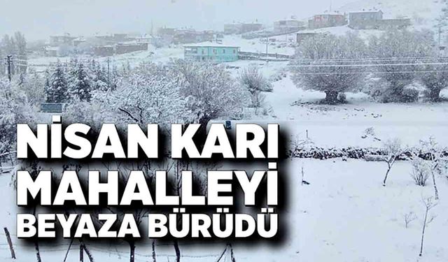 Nisan karı mahalleyi beyaza bürüdü