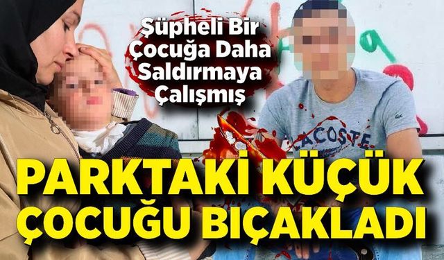 Parkta 2 yaşındaki çocuğa bıçakla saldıran şüpheli tutuklandı