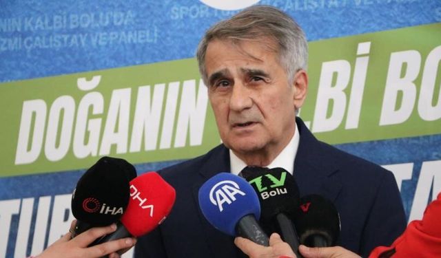 Şenol Güneş: "Milli takımın çeyrek finale kadar rahat gelebilecek bir görüntüsü var"