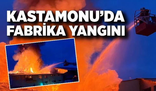 Kastamonu’da fabrika yangını