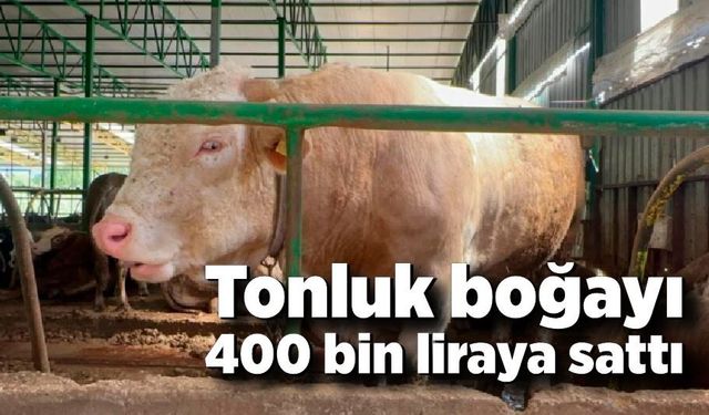 Kurban hareketliliği: Tonluk boğayı 400 bin liraya sattı