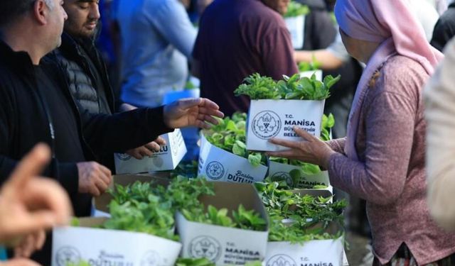 10 bin üreticiye 300 bin yerli fide desteği