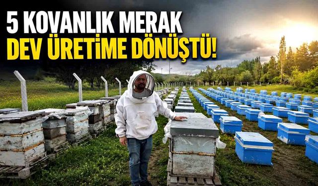 5 kovanla başladı, şimdi 250 kovana ulaştı