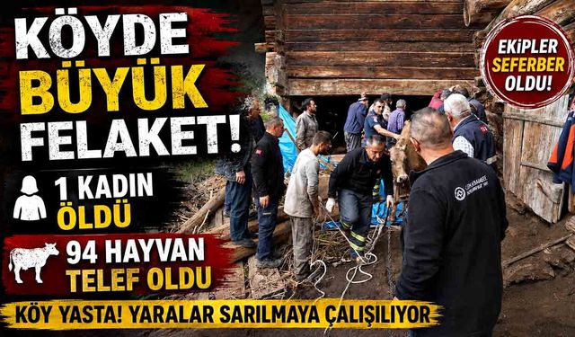 Kastamonu’da göçük felaketi! 1 kadın öldü, 94 hayvan telef oldu