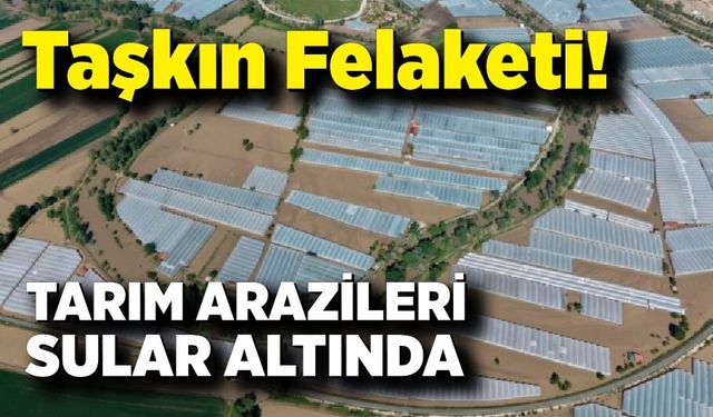 Amasya’da Taşkın Felaketi: 5 Bin 850 Dekar Zarar Gördü