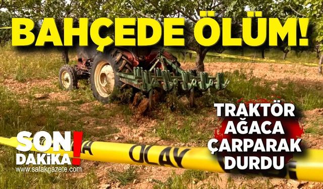 Tarlaya çalışmaya gitti, cansız bedeni bulundu