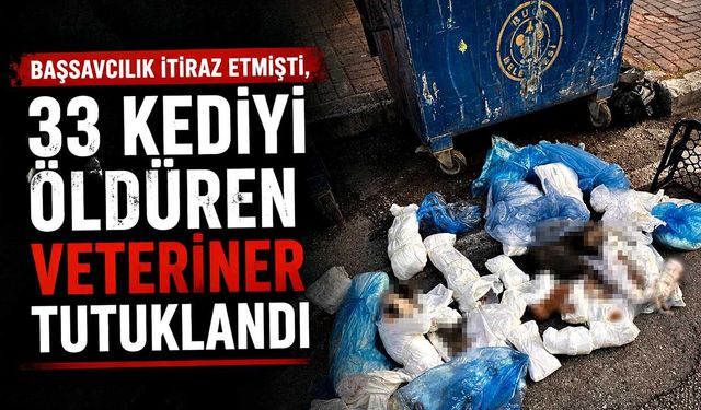 Başsavcılık itiraz etmişti, 33 kediyi öldüren veteriner tutuklandı