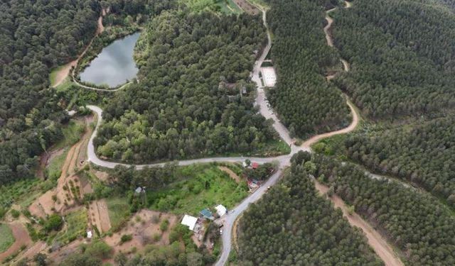 Belenova Yaylası cazibe merkezi oldu