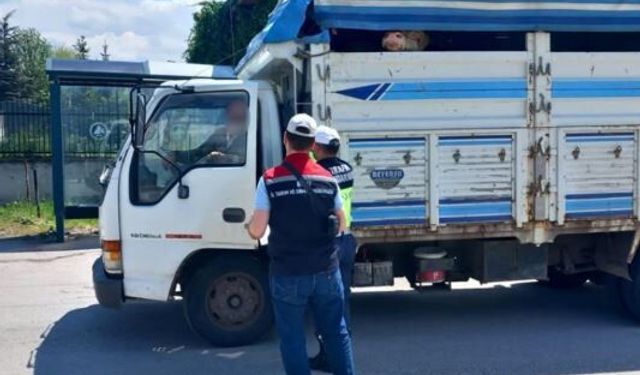 Bolu'da kurbanlık nakil araçları kontrol edildi