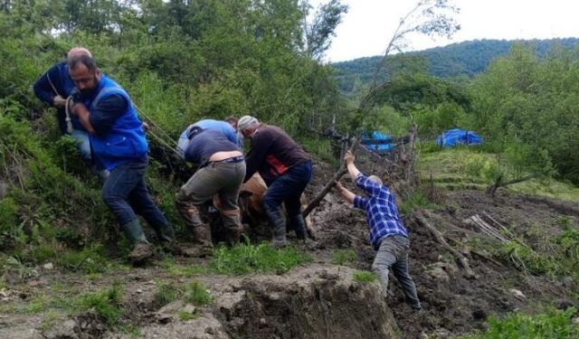 Çamura saplanan büyükbaş hayvanı vatandaşlar kurtardı