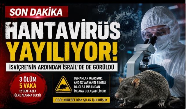 Dünyada Hantavirüs Alarmı Büyüyor