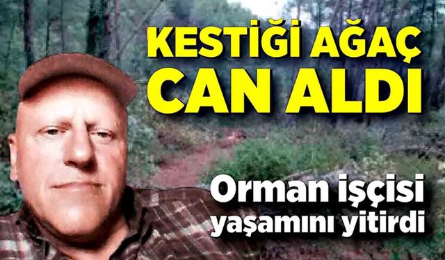 Kestiği ağacın altında kalan işçi hayatını kaybetti