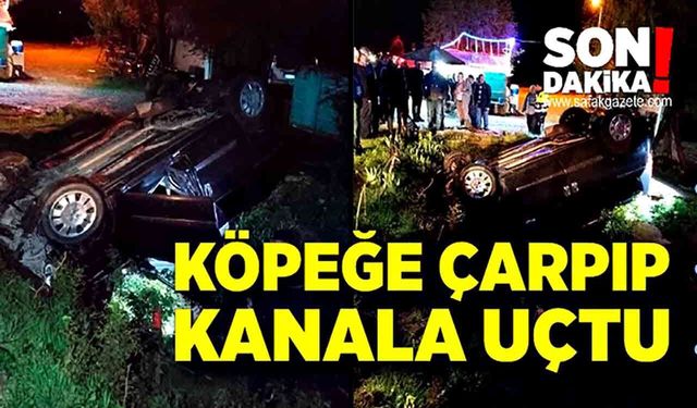 Köpeğe çarpan otomobil kanala uçtu: 2 yaralı