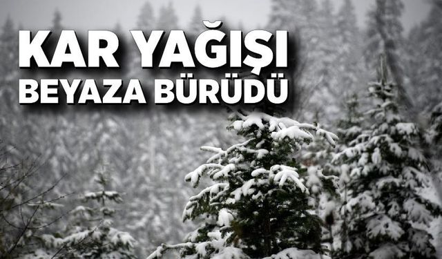 Kar yağışı beyaza bürüdü