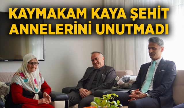 Kaymakam Kaya şehit annelerini unutmadı