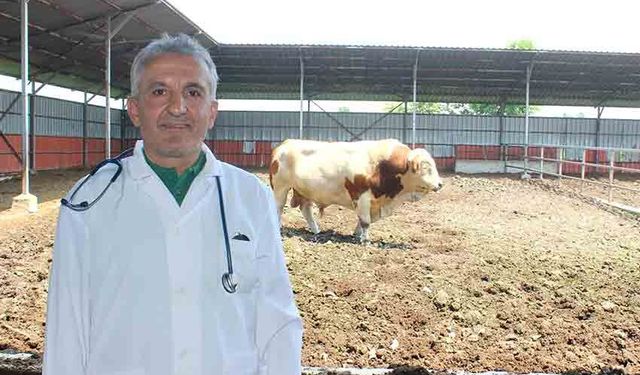 "Kesimden önceki 6 saat yem verilmemeli, su tüketmelerine izin verilmelidir"