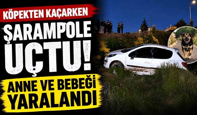 Köpeğe çarpmamak isterken şarampole uçtu