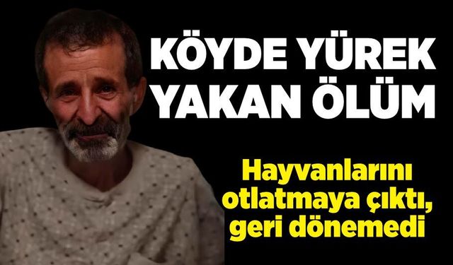 Köyde yürek yakan ölüm!  Hayvanlarını otlatmaya çıktı, geri dönemedi