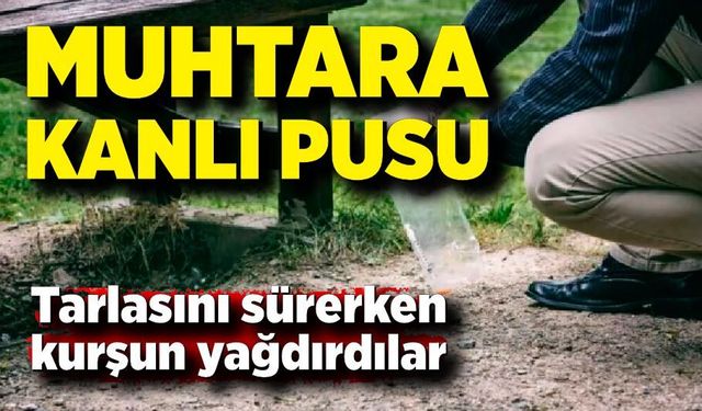 Muhtara tarlasında kanlı pusu