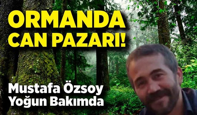 Ormanda Can Pazarı! Mustafa Özsoy Yoğun Bakımda
