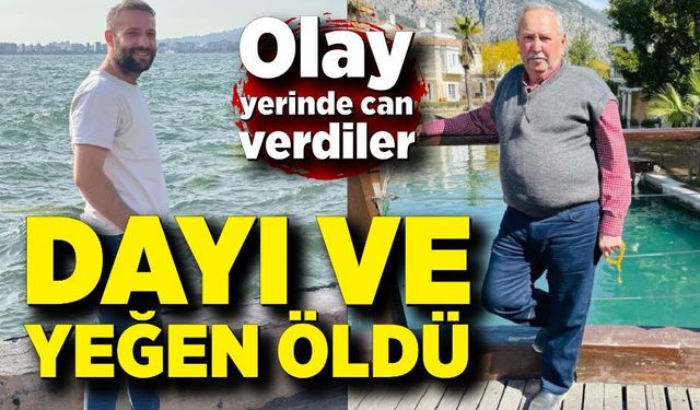 Bariyerlere çarpıp devrildi! Aynı aileden 2 can kaybı