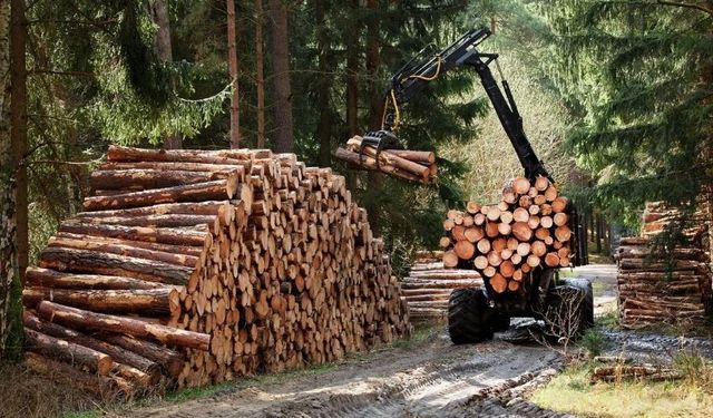 Karadeniz Ereğli Orman İşletme Müdürlüğü Hizmet Alım İlanı