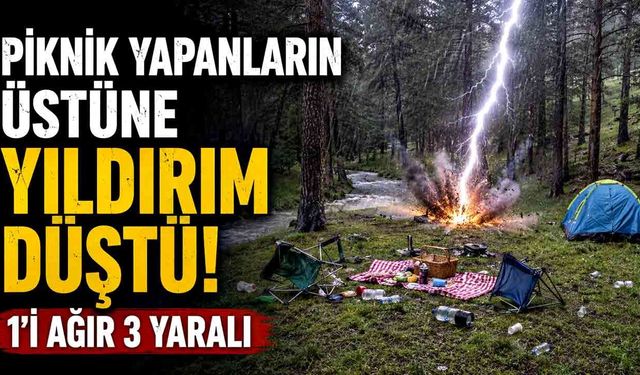 Piknik Faciası: Yıldırım Düştü, 1'i Ağır 3 yaralı