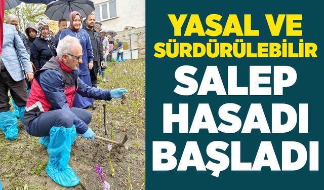 Yasal ve sürdürülebilir salep hasadı başladı
