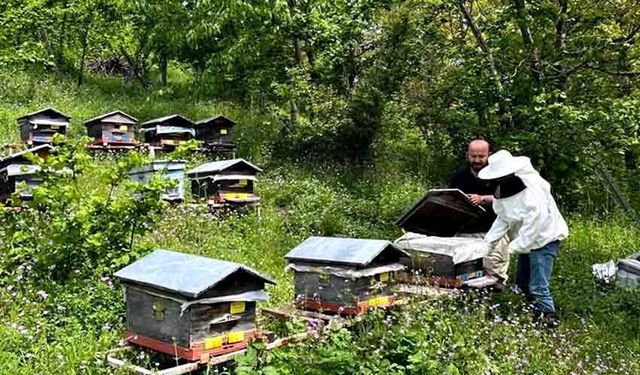 Yıllık 502 ton bal ve 14,5 ton balmumu üretiliyor