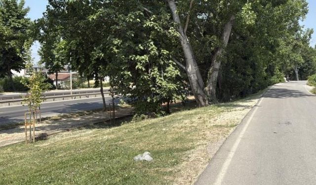 Aracında silahla vurulmuş halde ölü bulundu