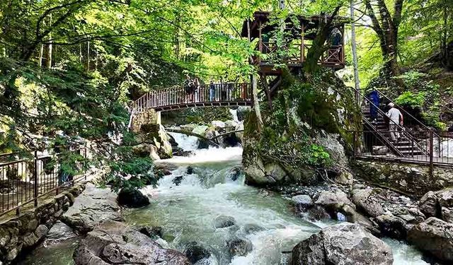 Aydınpınar ve Samandere Tabiat Parkları 24 bin kişiyi ağırladı