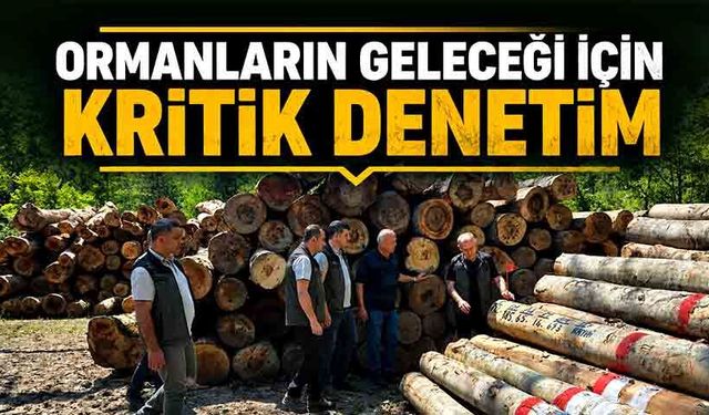 Devrek ormanlarında yürütülen çalışmalar yerinde incelendi