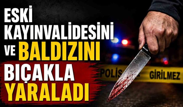 Eski kayınvalidesini ve baldızını bıçakla yaraladı