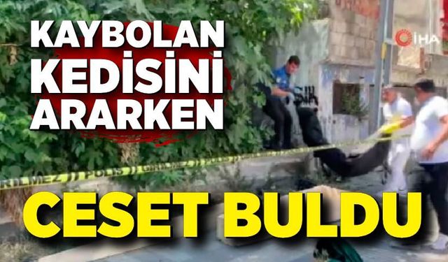 Kaybolan kedisini ararken ceset buldu