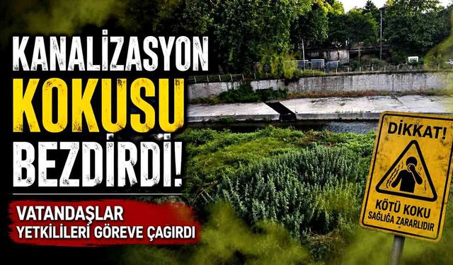 Kanalizasyon Kokusu Vatandaşı Canından Bezdirdi!