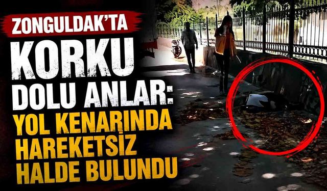 Zonguldak'ta korku dolu anlar: Yol kenarında hareketsiz halde bulundu