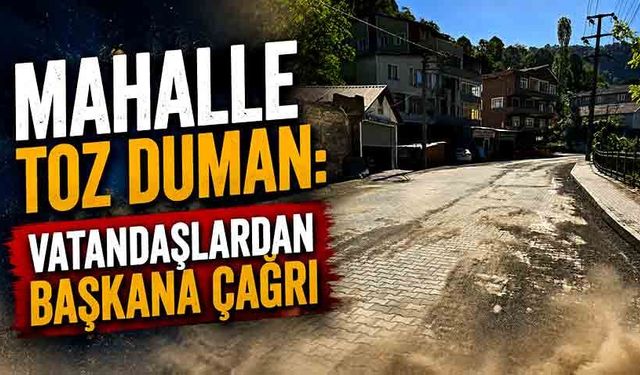 Mahalle toz duman: Vatandaşlardan başkana çağrı