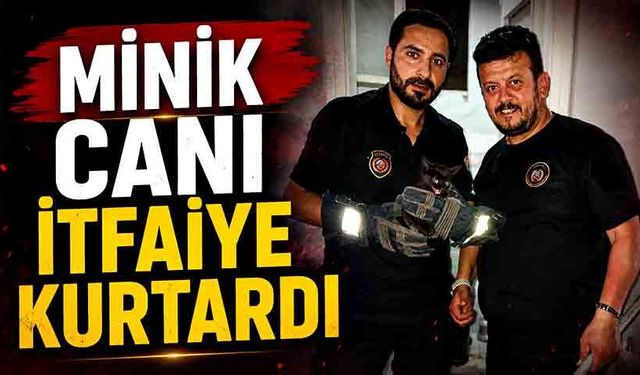 Mahsur kalan yavru kediyi itfaiye ekipleri kurtardı