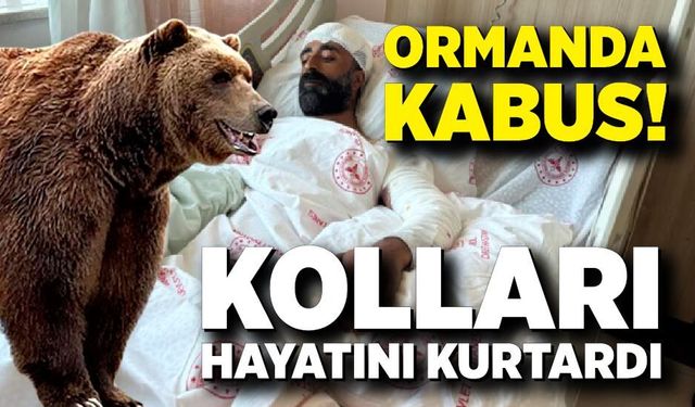Ayının Pençesinden Kollarını Siper Ederek Kurtuldu